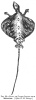 FIG. 33.<i>Draco</i>,<br> OR FLYING LIZARD FROM SINGAPORE.<br> (<i>After N. B. Dennys</i>.)