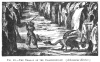 FIG. 40.THE DRAGON Of THE DRACHENFELDT. (<i>Athanasius Kircher</i>.)
