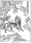 FIG. 81.THE KI.