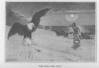 THE BIRD CAME DOWN