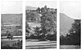 PLATE V. SIGHTING CUTTINGS
