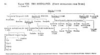 Table VIII. The Mst&iacute;slaviči [Eight Generations from Rurik]