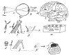 THE HUNA IDEA OF HOW A THOUGHT FORM IS CREATED