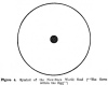 Figure 4. Symbol of the New-Born World Soul (The Germ within the Egg)